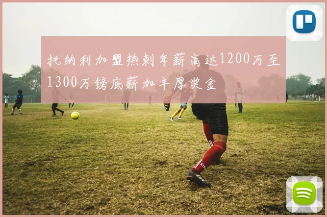 托纳利加盟热刺年薪高达1200万至1300万镑底薪加丰厚奖金