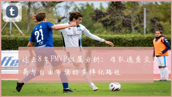 过去8年FMVP归属分析：母队选秀交易与自由市场的多样化路径