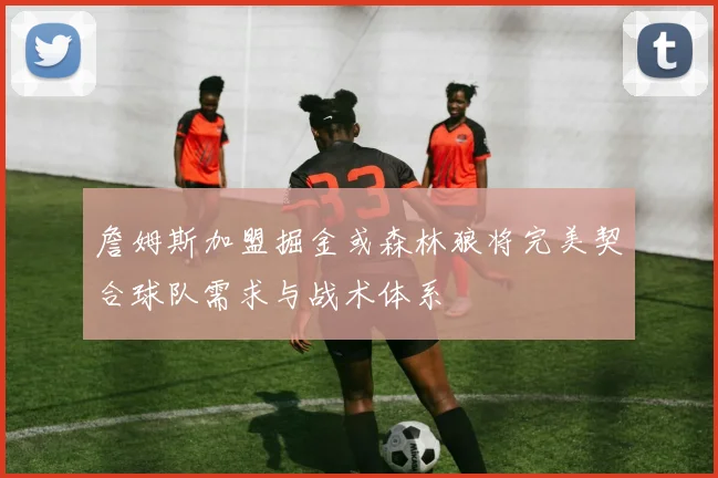 詹姆斯加盟掘金或森林狼将完美契合球队需求与战术体系