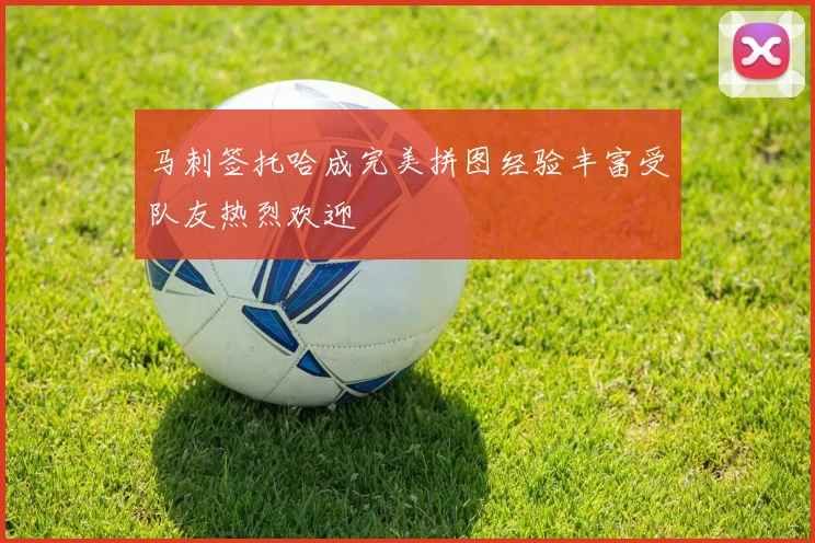 马刺签托哈成完美拼图经验丰富受队友热烈欢迎